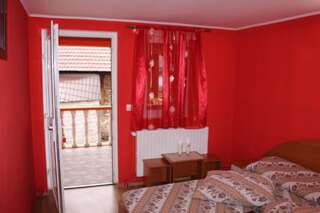 Гостевой дом Pensiunea Anisoara Chişcău Двухместный номер с 1 кроватью и собственной ванной комнатой-2